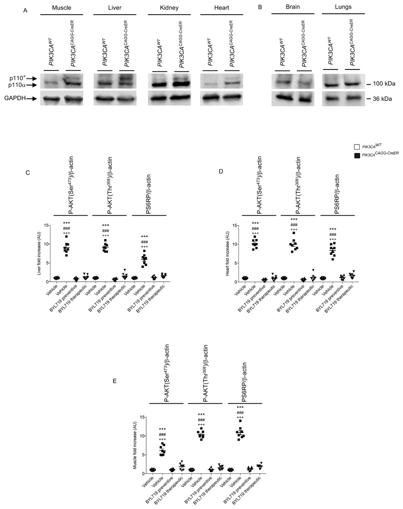 Extended Data Fig. 5