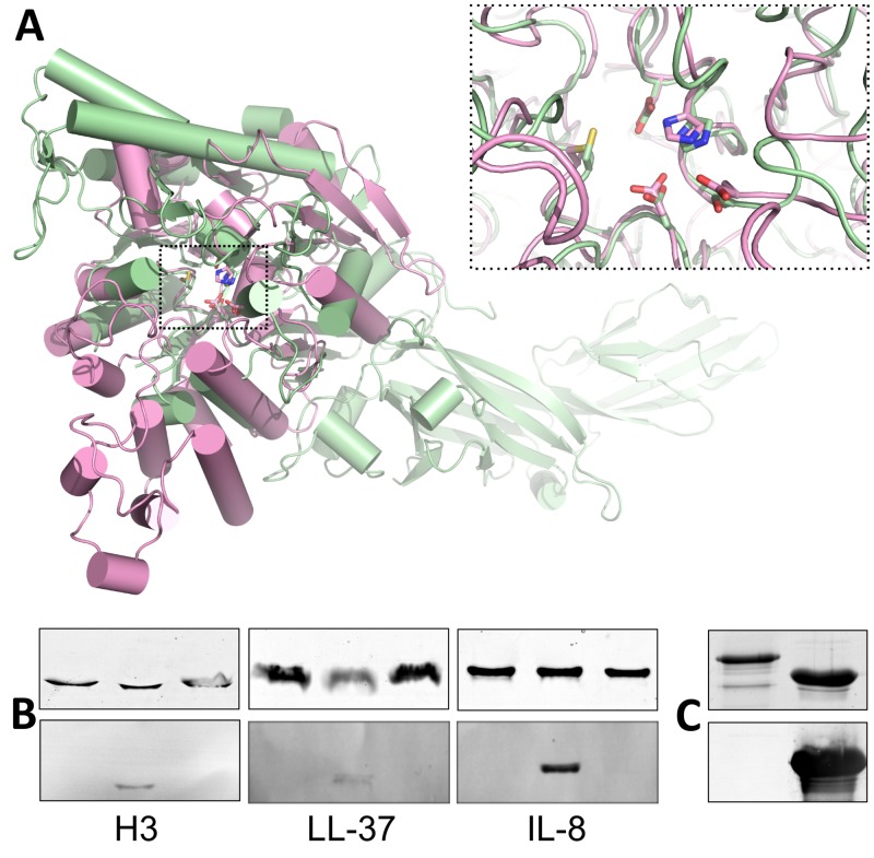 FIG 4 