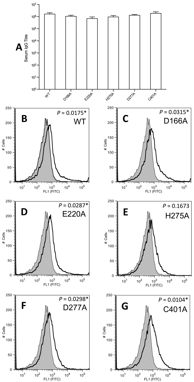 FIG 2 