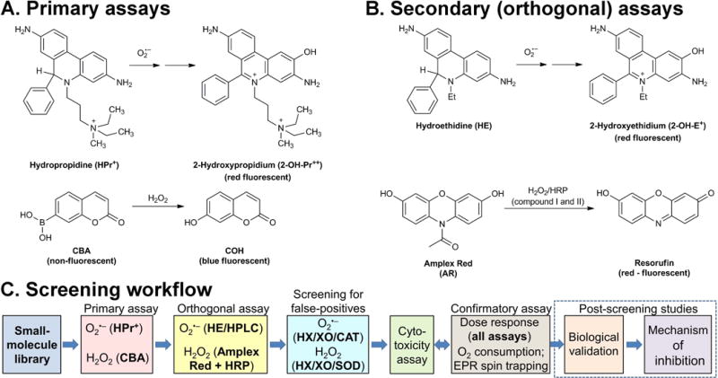 Figure 13