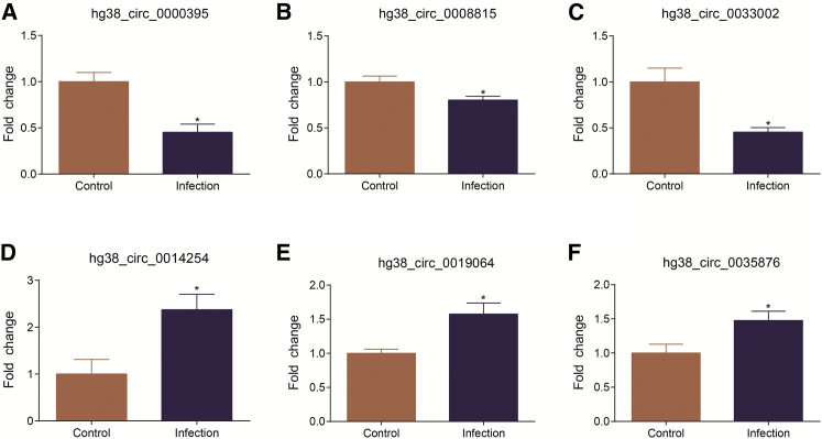 Figure 4