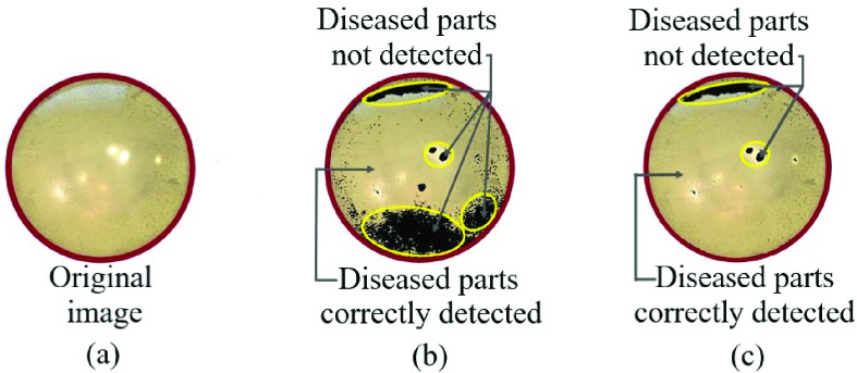 Fig. 10.