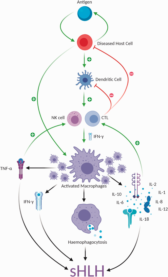 Figure 1.