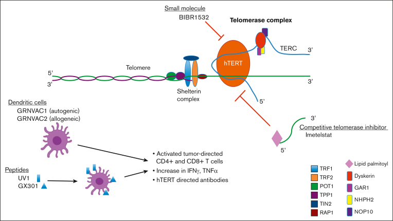 Figure 3.