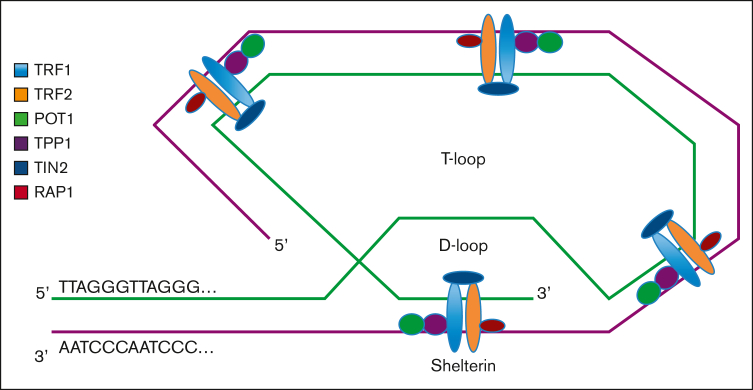 Figure 1.