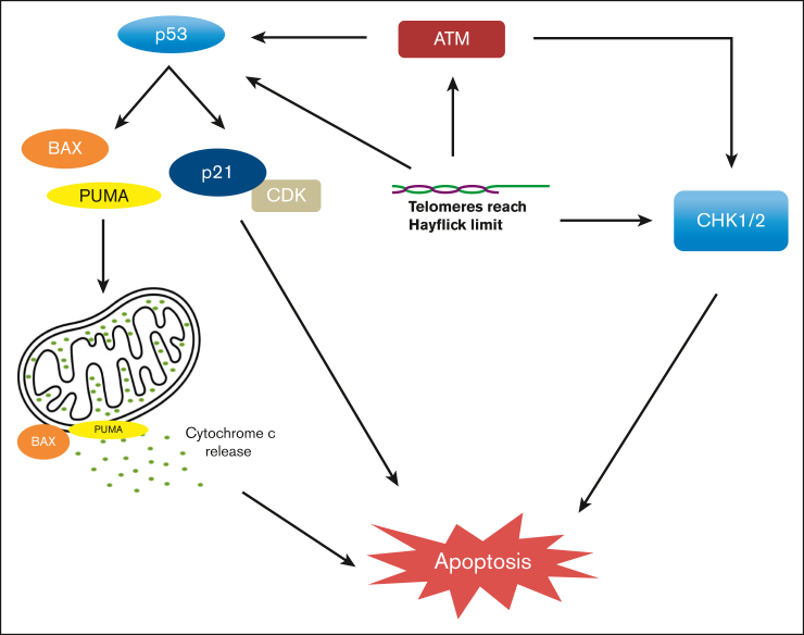 Figure 2.