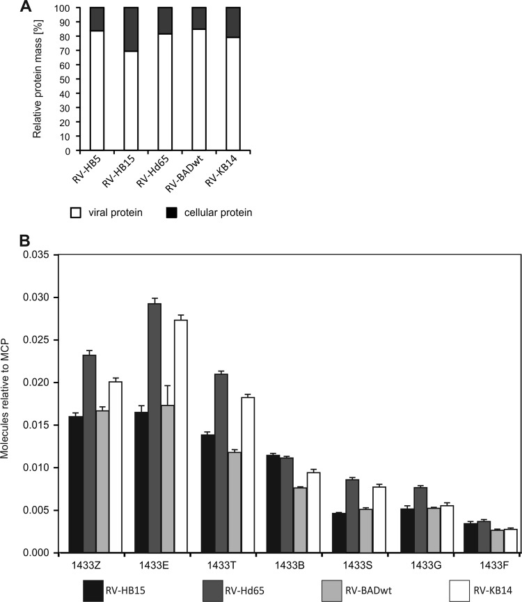 FIG 6