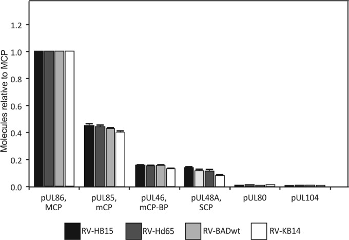 FIG 3