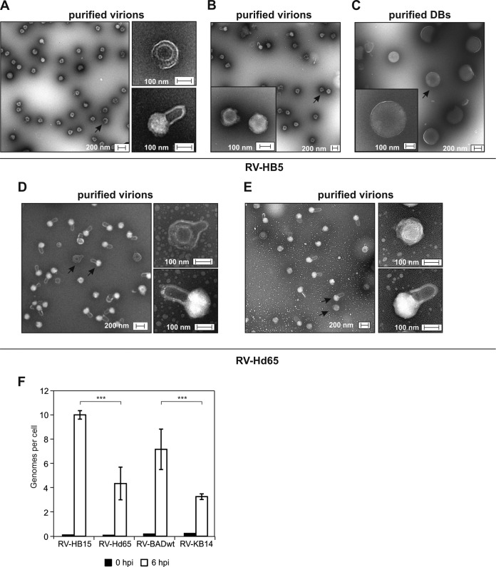 FIG 2