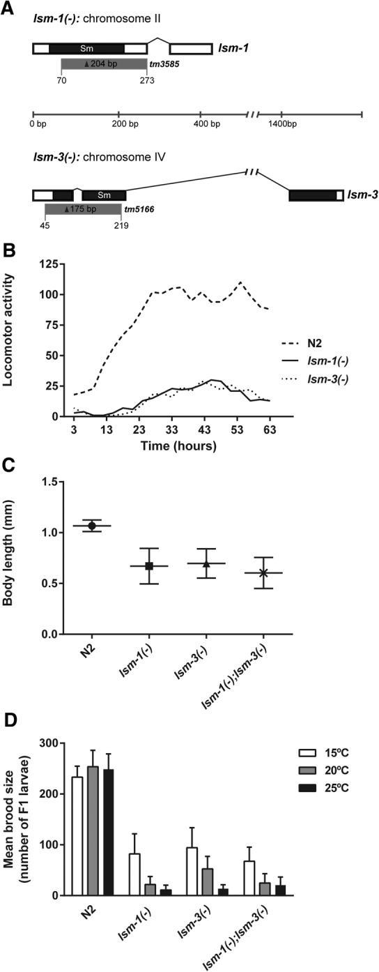 FIGURE 1.