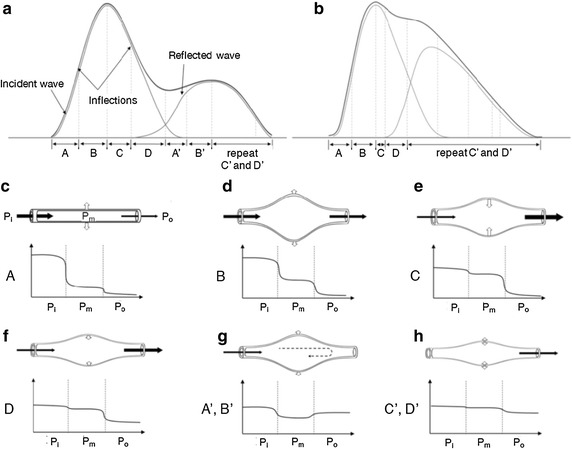 Fig. 1