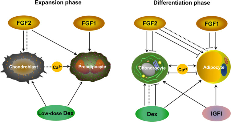 Fig. 3