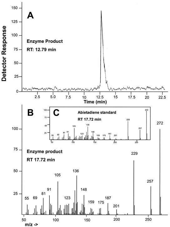 Figure 10