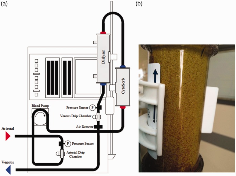 Figure 1.