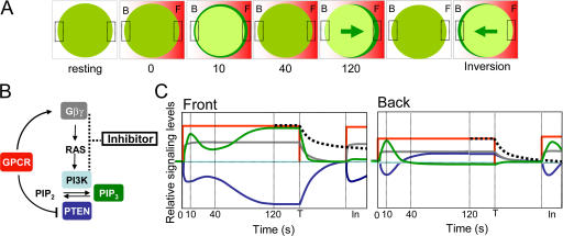 Figure 9.