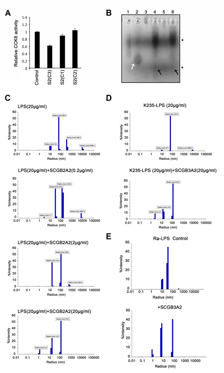 Figure 2—figure supplement 1.