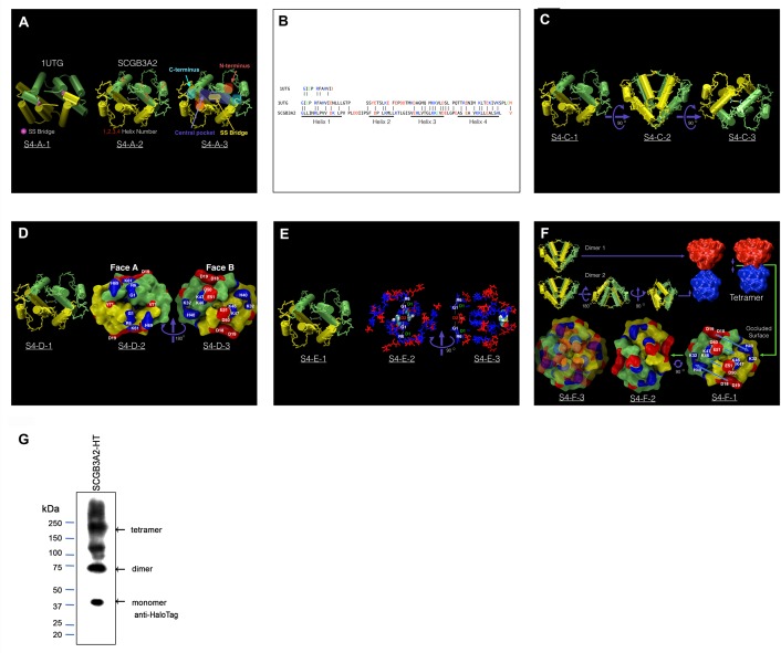 Figure 4—figure supplement 2.