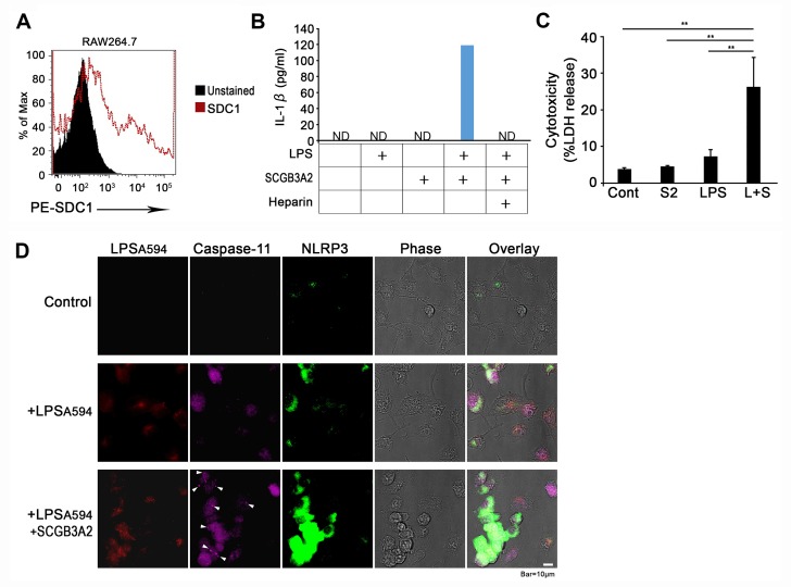 Figure 4—figure supplement 4.