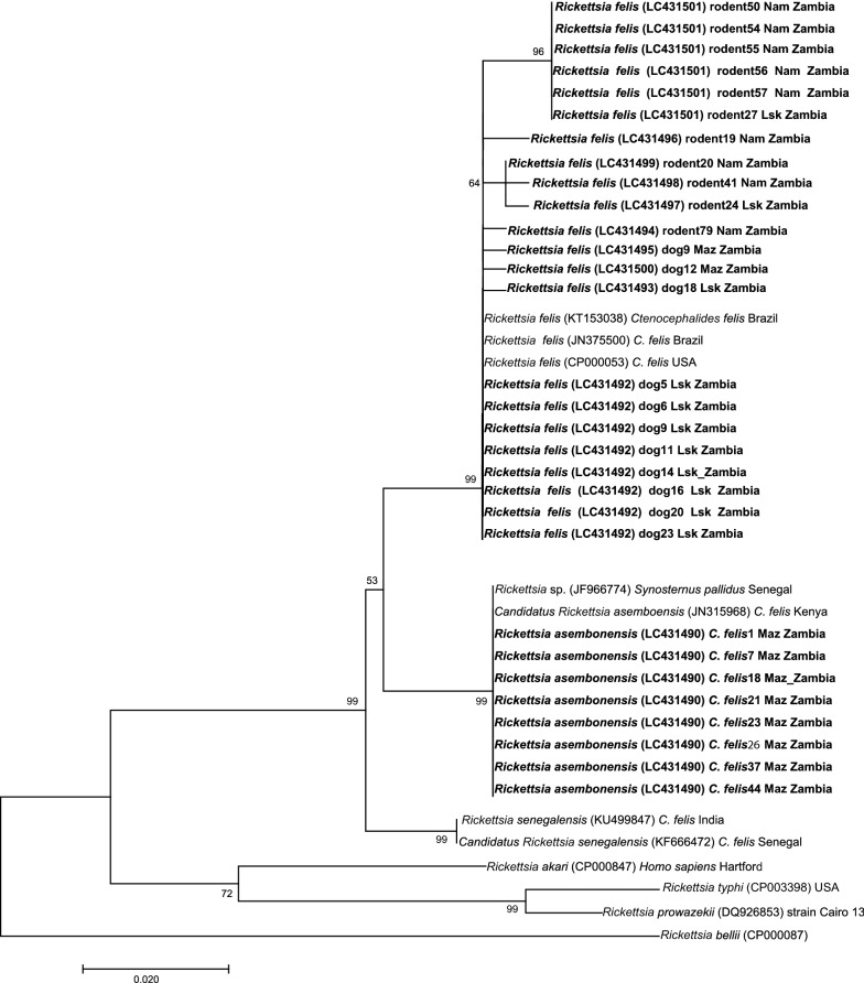 Fig. 2