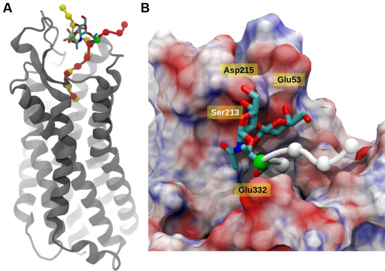 FIGURE 4