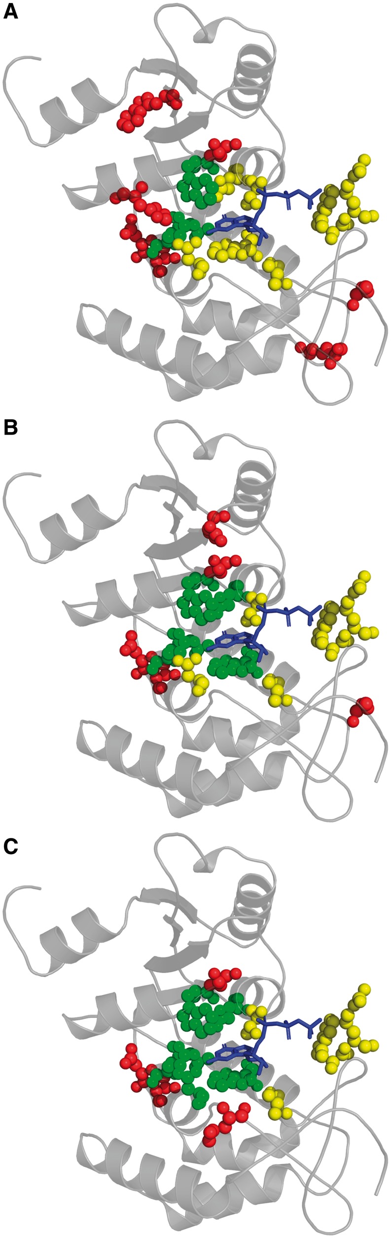 Fig. 5.