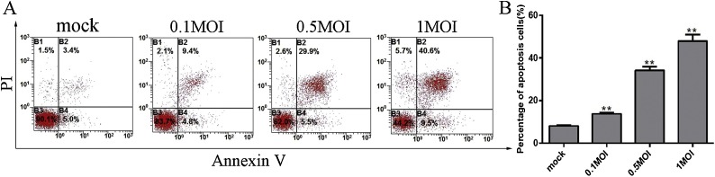 Fig. 2