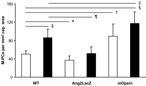 FIG. 5.