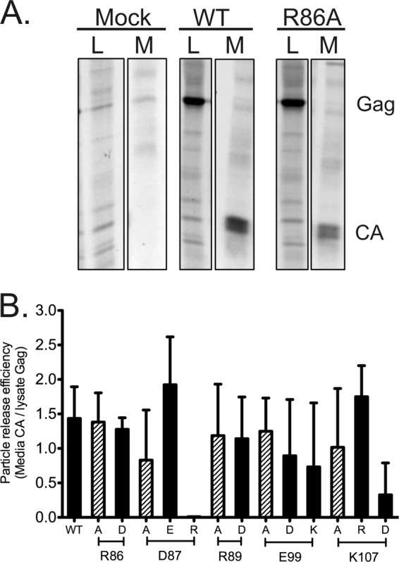 FIG 3