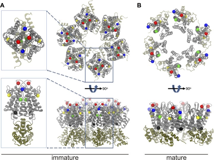 FIG 10