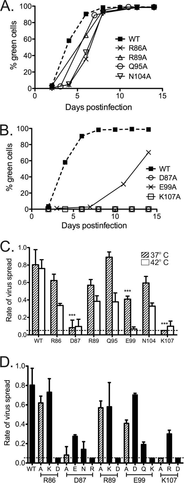 FIG 2