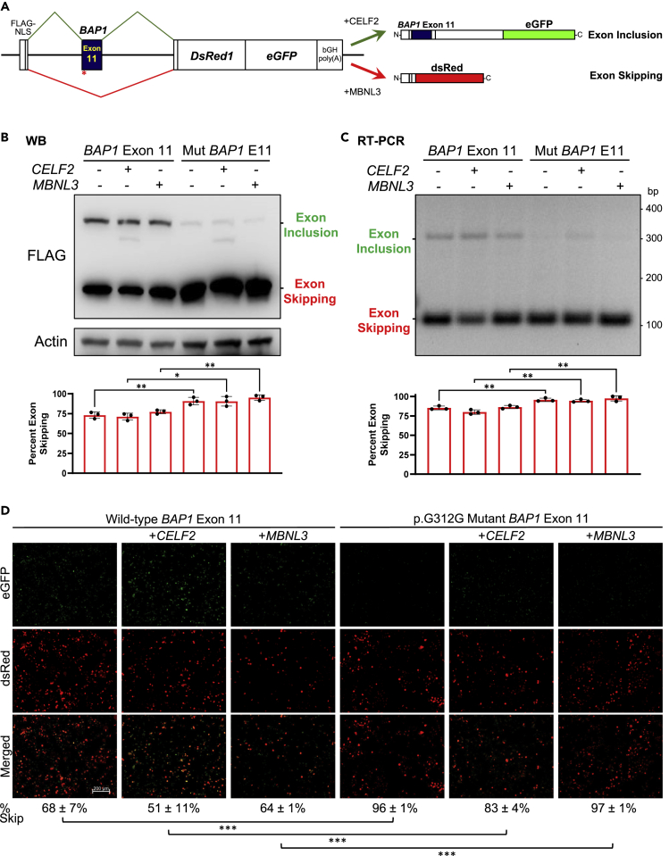 Figure 3