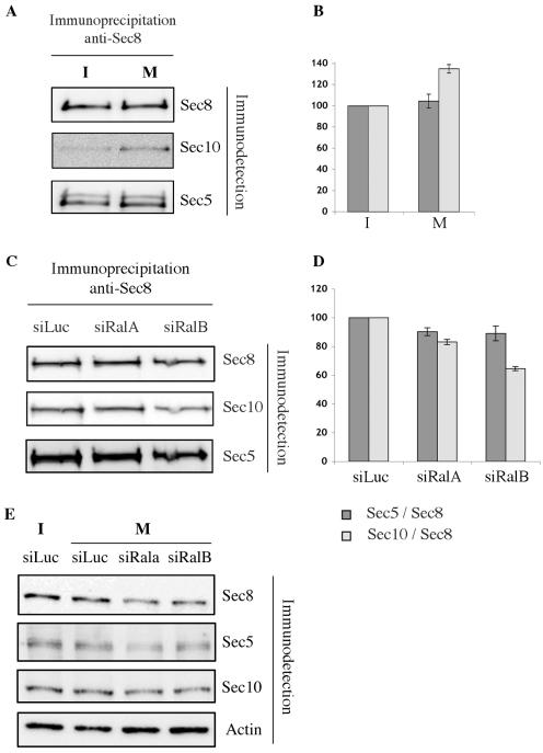 FIG. 5.