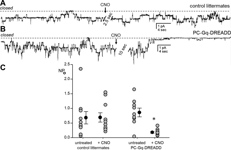 Fig. 6.