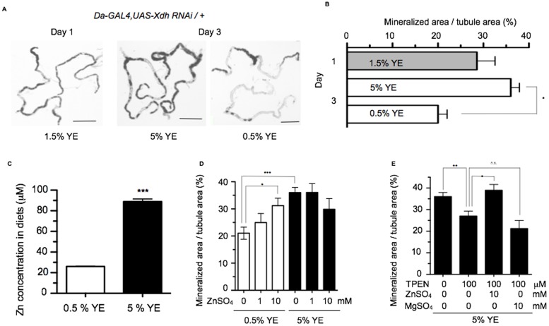 Fig 4