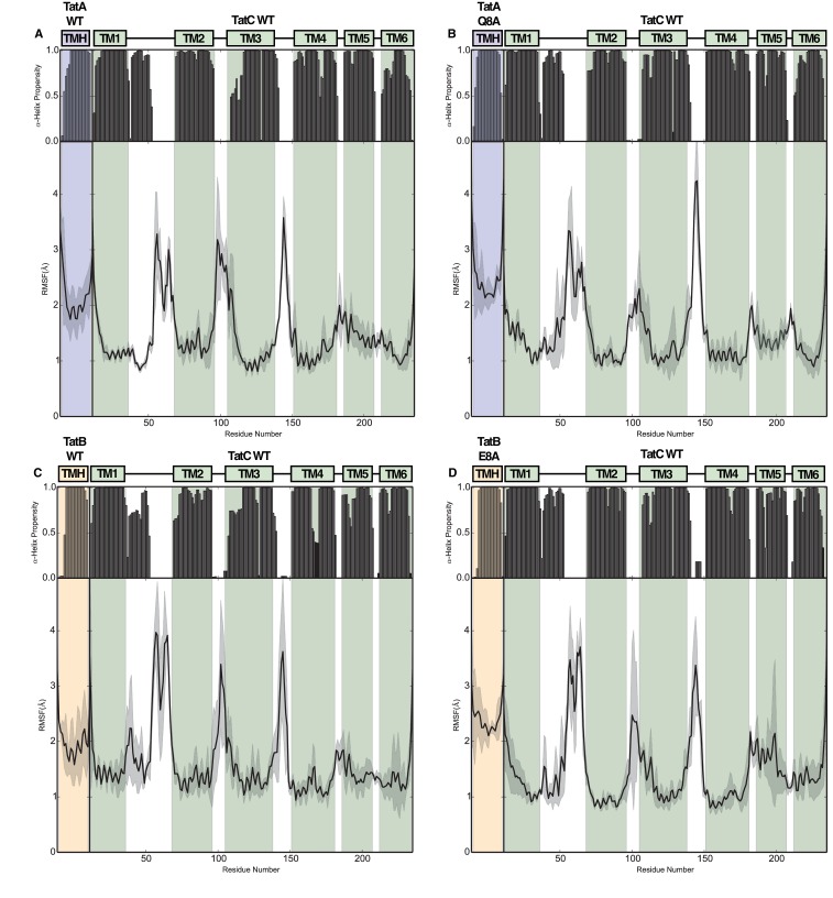 Figure 4—figure supplement 1.