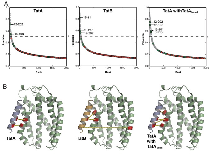 Figure 3—figure supplement 1.