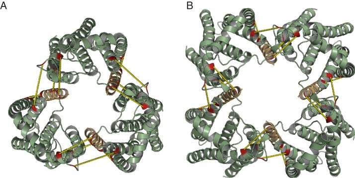 Figure 8—figure supplement 3.