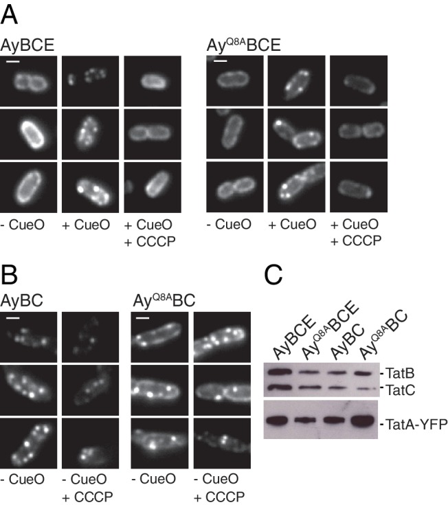 Figure 7.