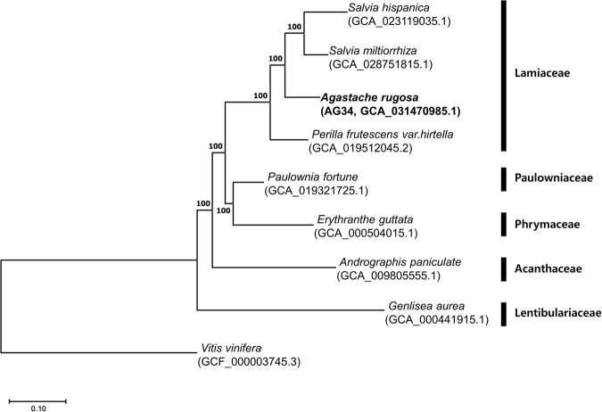 Fig. 5