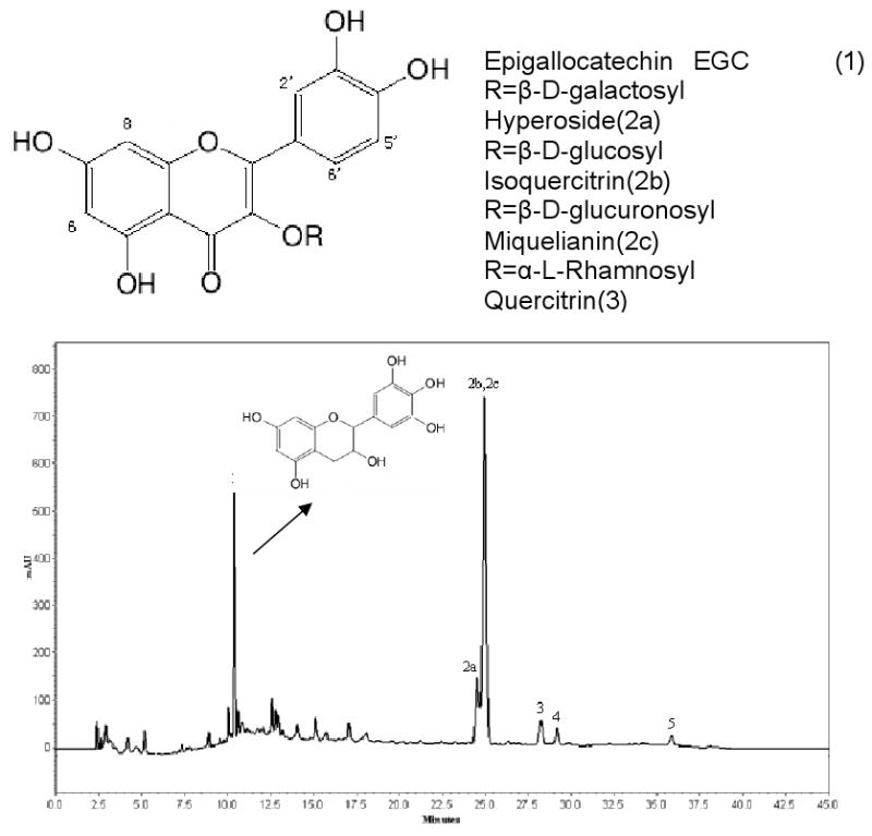 Fig.1