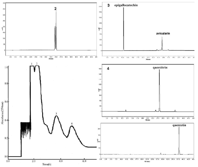 Fig.3