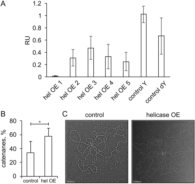 Figure 5.