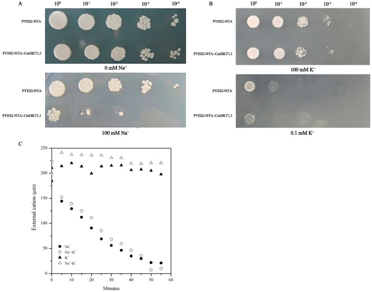 Figure 5