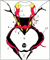 <sc>fig</sc> 4.
