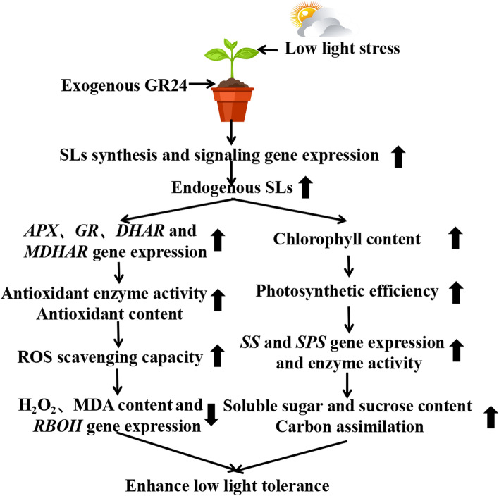 Fig. 10