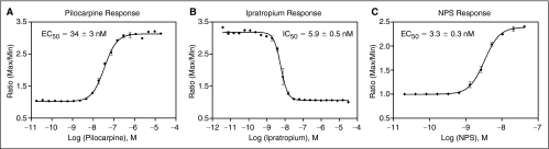 Fig. 5.