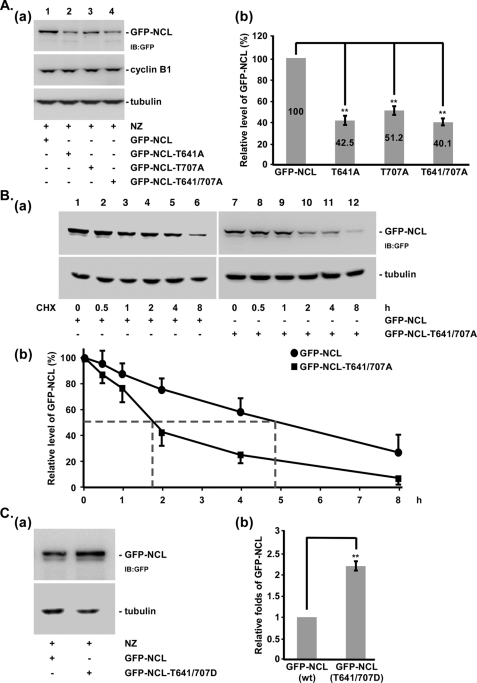 FIGURE 4.