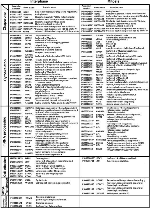 graphic file with name zbc051118899t001.jpg