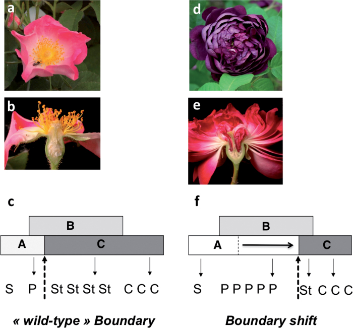 Fig. 3. 