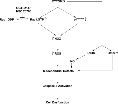 Fig. 8.